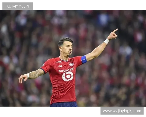 维尔纳加盟富勒姆后表现稳健,助力球队竞争力增强