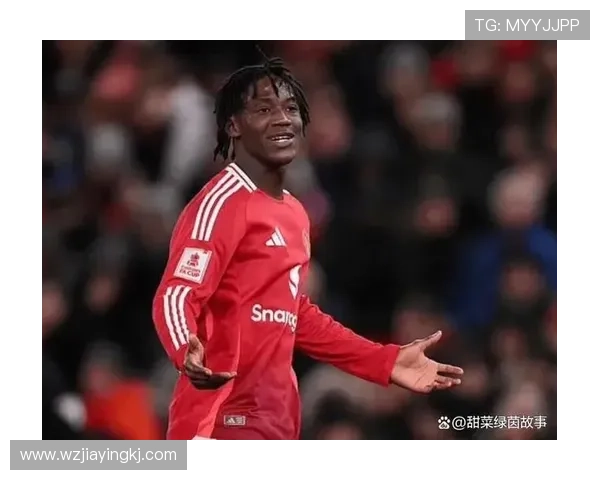 英超科比·梅努