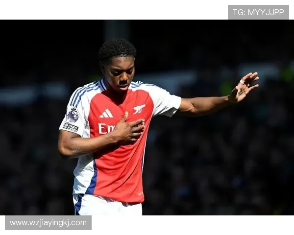 英超刘易斯·哈利 英超刘易斯·哈利