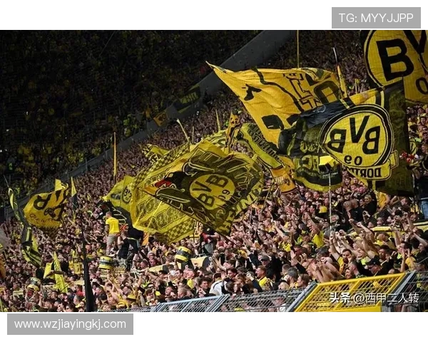 多特蒙德:争冠关键阶段稳定性承压,对赛季走势形成制约 多特蒙德:争冠关键阶段稳定性承压,对赛季走势形成制约