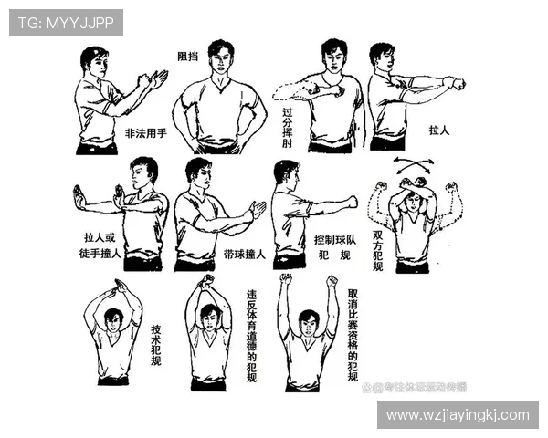 全面解析篮球后场规则的具体定义与常见判罚标准